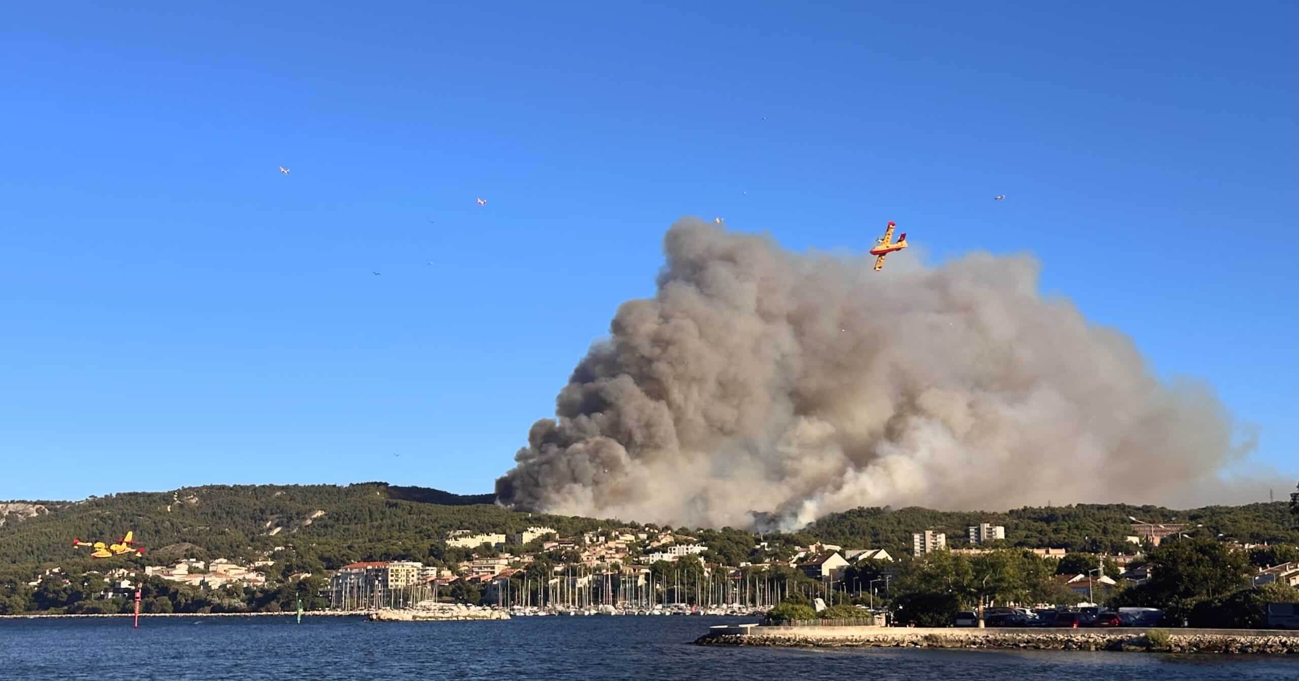 Plusieurs Canadair et oiseaux survolent une ville côtière avec épaisse fumée d'incendie, port et bâtiments visibles.