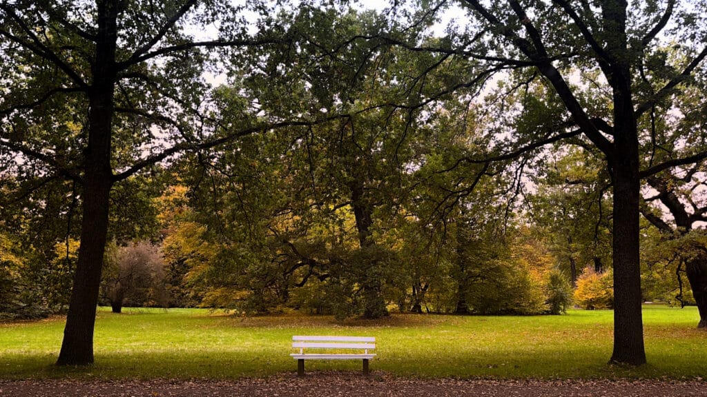 Banc blanc solitaire dans parc automnal avec pelouse verte, arbres aux feuilles colorées et troncs sombres sous ciel d'automne.