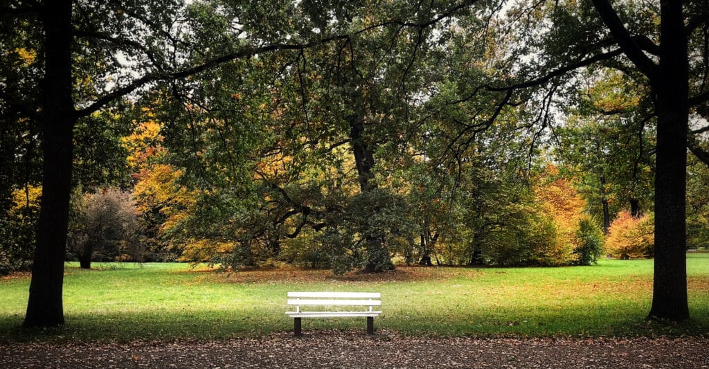 Banc blanc solitaire dans parc automnal avec pelouse verte, arbres aux feuilles colorées et troncs sombres sous ciel d'automne.